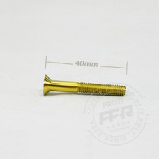 Proti M6 Universal Bolt M6L40-OTB06